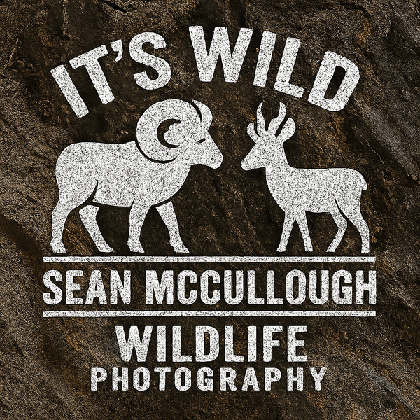Sean McCullough Photography