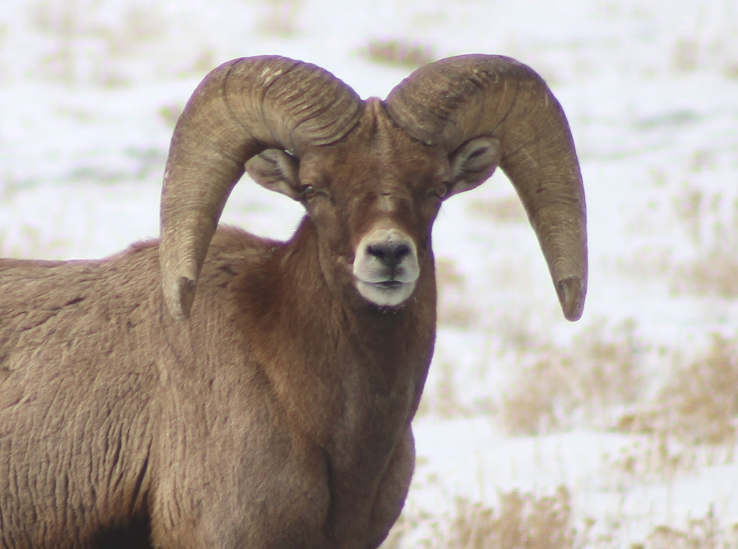 Calm in the Cold - Fine Art on Canvas