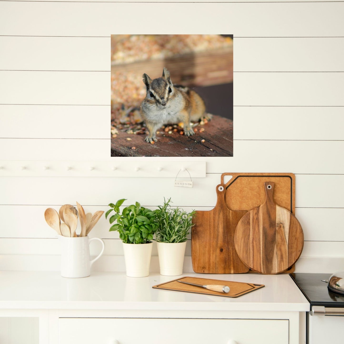 🖼️ Caught in the Act – Mischievous Chipmunk Photo on Canvas