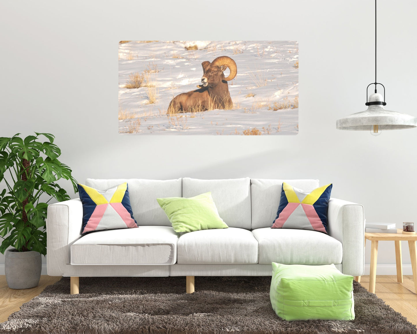 King of the Herd – Rocky Mountain Bighorn Sheep (Gallery‑Wrapped Canvas)