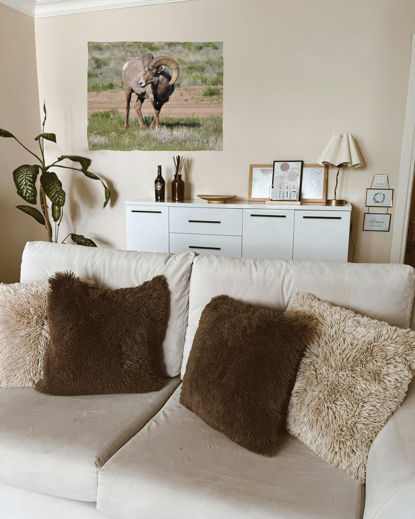 Monarch of the Meadow - Rocky Mountain Bighorn Sheep RAM