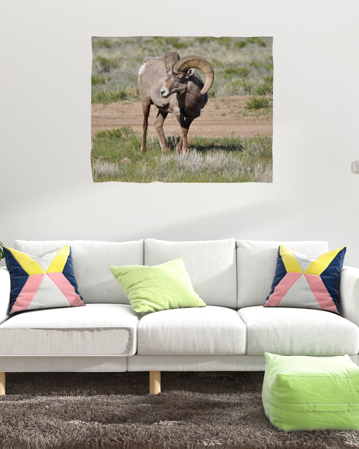 Monarch of the Mountain - Bighorn Ram