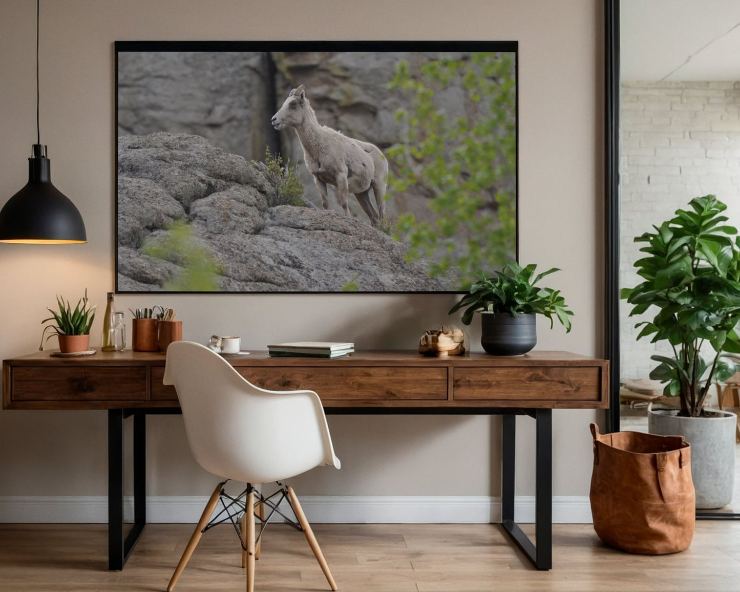 Scouting the Ridge – Rocky Mountain Bighorn Ewe