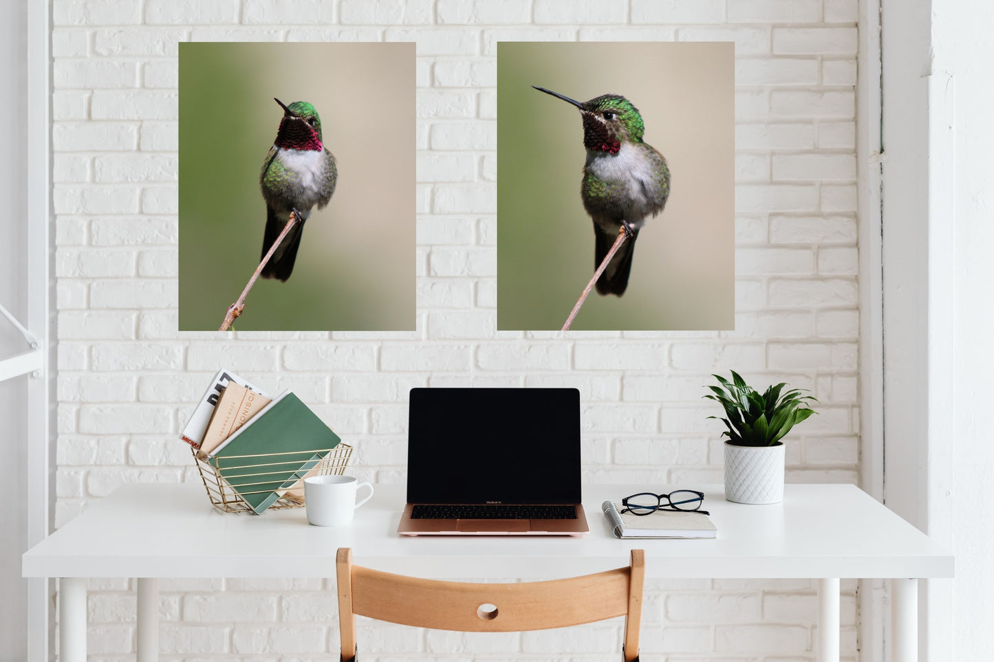 Two Heartbeats of a Hummingbird – Fine Art Canvas Diptych
